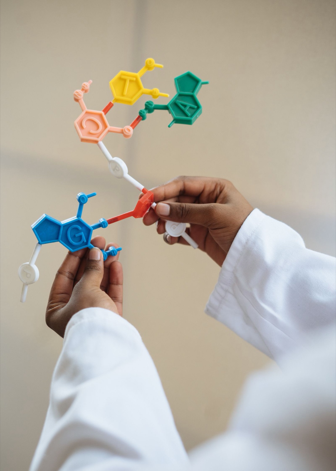 Researcher holding a molecular model